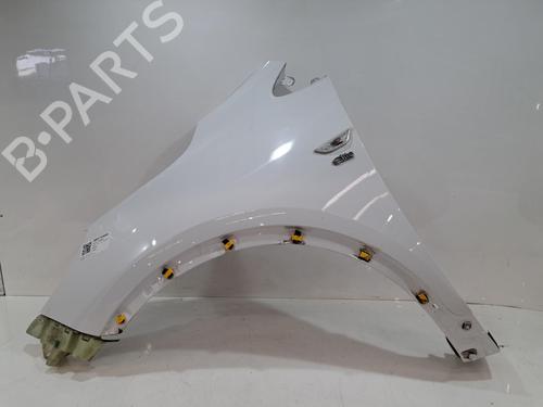 Guarda-lamas esquerdo Guarda-lamas esquerdo VAUXHALL MOKKA / MOKKA X (J13) 1.4 4x4 (140 hp) 36254100 36254100