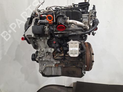 Engine VW GOLF VI Convertible (517) 1.6 TDI | BP31999746M1