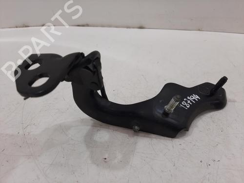Hinge/Door check strap LAND ROVER RANGE ROVER SPORT II (L494) 4.4 SDV8 4x4 | BP29496860C146 