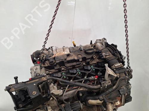 Engine FORD FOCUS III 1.6 TDCi | BP34377191M1  - Image 5