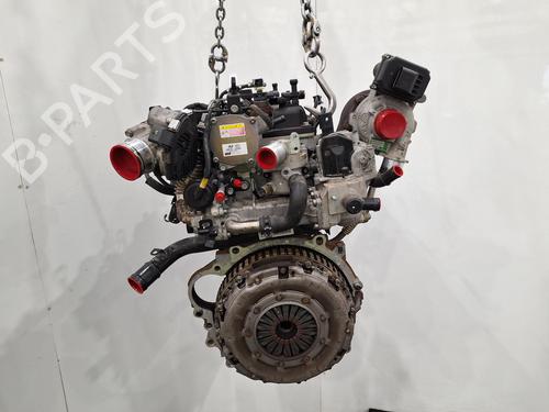 Engine KIA VENGA (YN) 1.6 CRDi 115 | BP30120007M1