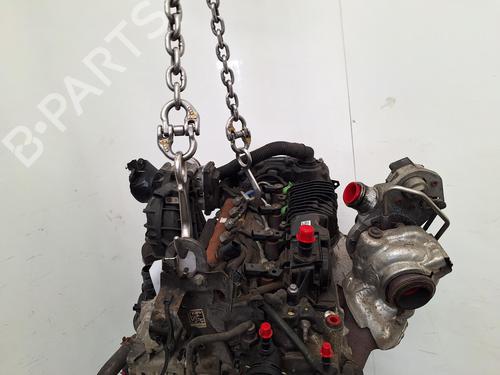 Engine FORD TRANSIT CUSTOM V362 Van (FY, FZ) 2.0 EcoBlue | BP36966439M1  - Image 5