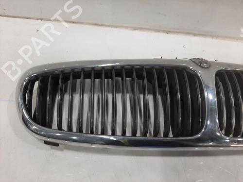 Grill JAGUAR X-TYPE I (X400) 2.5 V6 All-wheel Drive | BP26846350C40 