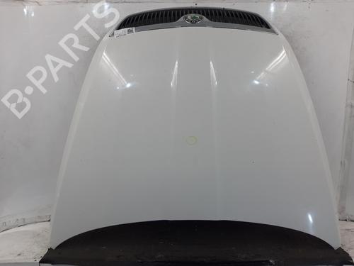 Panser SKODA OCTAVIA II (1Z3) 1.9 TDI (105 hp) 30670938