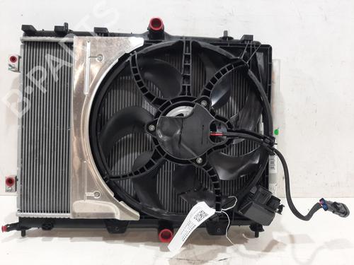 Kølerpakke PEUGEOT 2008 II (UD_, US_, UY_, UJ_, UR_, UC_) 1.2 PureTech 130 (USHNS, URHNS) (130 hp) 30721887