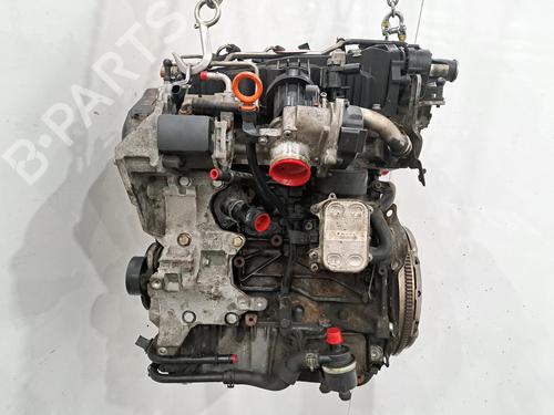 Engine SEAT IBIZA IV (6J5, 6P1) 1.6 TDI | BP29496824M1 