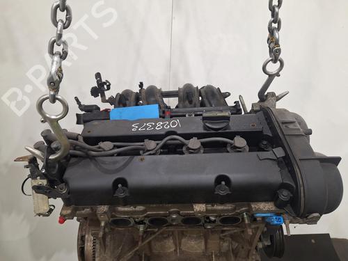 Engine FORD FIESTA VI (CB1, CCN) 1.25 | BP29397678M1 