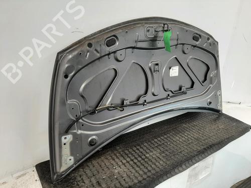 Hood RENAULT CLIO III (BR0/1, CR0/1) 1.2 16V (BR0P, CR0P) | BP26935647C1 