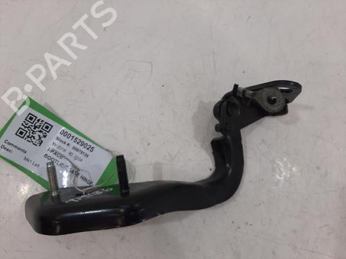 Hinge/Door check strap JAGUAR I-PACE (X590) EV400 AWD | BP29496570C146 