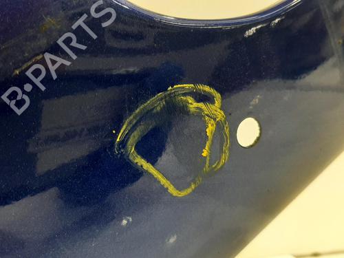Left front fenders FORD FIESTA VI (CB1, CCN) 1.6 ST | BP29060547C41 