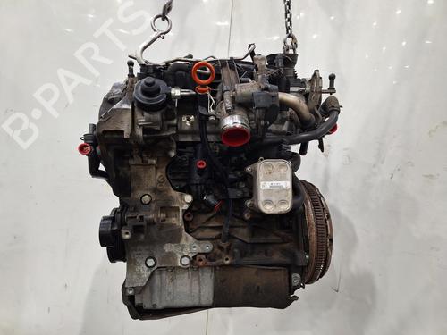 Engine VW GOLF VI Convertible (517) 2.0 TDI | BP38604436M1 - Image 4