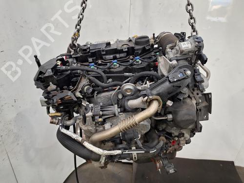 Engine FORD FIESTA VI (CB1, CCN) 1.5 TDCi | BP31208971M1