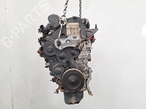 Used Engine Engine FORD FIESTA VI (CB1, CCN) 1.4 TDCi (70 hp) 34206247 34206247