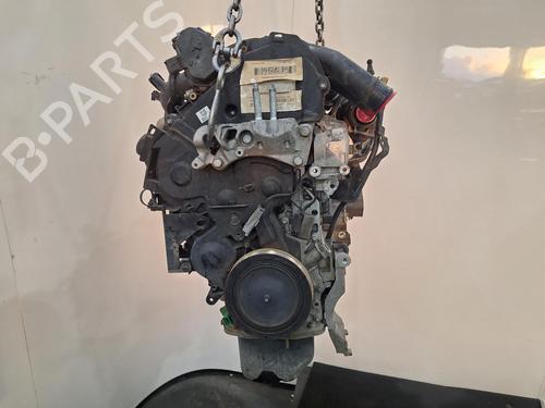 Used Engine FORD FIESTA VI Van 1.5 TDCi (95 hp) 29922781
