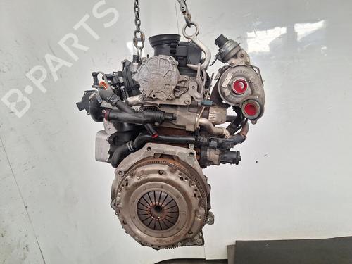 Engine SKODA OCTAVIA II (1Z3) 1.6 TDI | BP33124923M1 - Image 4