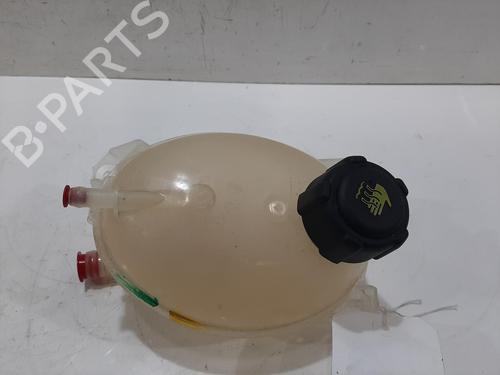 Vaso de expansão DACIA DUSTER (HM_) 1.3 TCe 130 (HMMF) (131 hp) 30721921