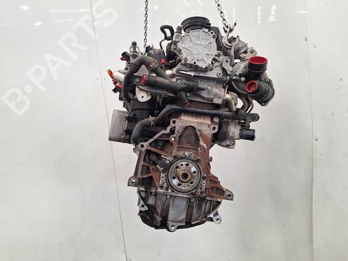 Engine VW GOLF PLUS V (5M1, 521) 1.6 TDI | BP36985948M1 - Image 3