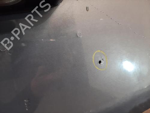 Left rear door VAUXHALL VIVARO A Van (X83) 2.0 CDTI | BP29922172C4