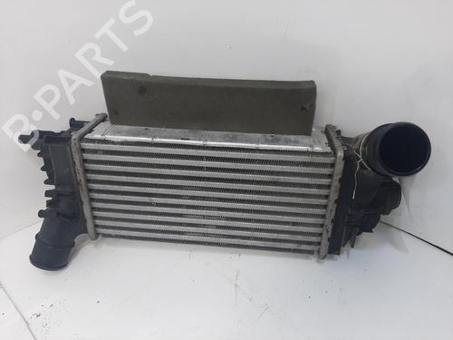 Used Intercooler FORD FIESTA VII (HJ, HF) 1.0 EcoBoost mHEV ACTIVE (125 hp) 27225163