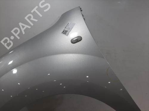 Left front fenders RENAULT KANGOO Express (FW0/1_) 1.5 dCi 90 (FW0G, FW05, FW08, FW11) | BP29742097C41 