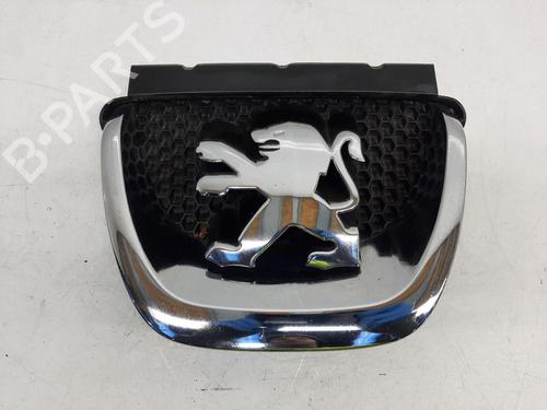 Grille PEUGEOT 308 I (4A_, 4C_) 1.6 16V | BP26817893C40 