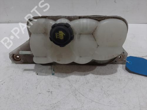 Vaschetta di espansione Vaschetta di espansione NISSAN JUKE (F15) 1.5 dCi (110 hp) 35769170 35769170