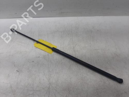 tailgate-lift-support-jaguar-f-type-convertible-x152-2012-29322487 main image