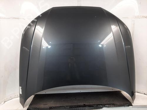Used Hood AUDI A4 B9 Avant (8W5, 8WD) 2.0 TDI (150 hp) 31009567