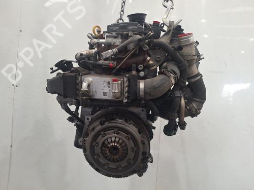 Engine SEAT IBIZA IV (6J5, 6P1) 1.4 TDI | BP38048448M1 - Image 3