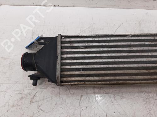 Intercooler FIAT DOBLO Cargo (263_) 1.6 D Multijet (263WXD1B, 263WXR1B, 263WXX1B, 263ZXD1B,... | BP37433133M30 - Image 3