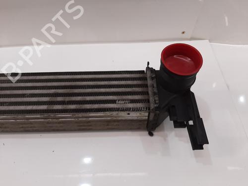 Intercooler SKODA FABIA II (542) 1.6 TDI | BP33868268M30  - Image 5