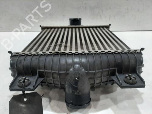 Intercooler LAND ROVER RANGE ROVER IV (L405) 3.0 SDV6 Hybrid 4x4 | BP30670594M30 