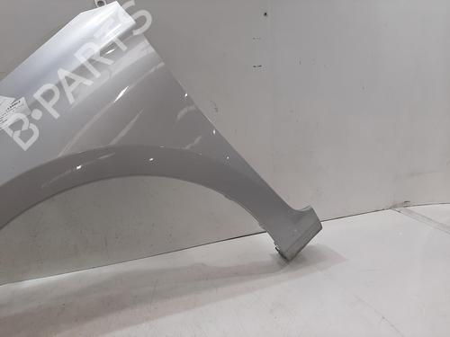 Left front fenders HYUNDAI i20 II (GB, IB) 1.0 T-GDI | BP30057481C41
