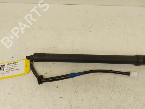 tailgate-lift-support-lexus-rx-_l2_-2015-26864560 main image