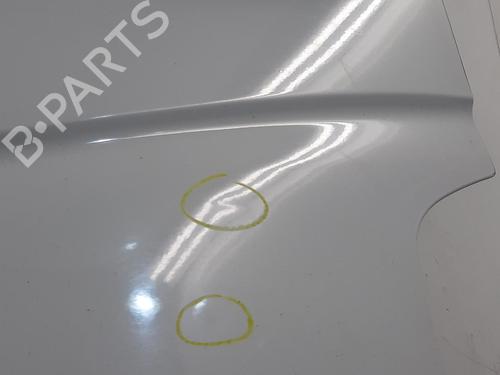 Left front door RENAULT MASTER III Van (FV) 2.3 dCi 130 FWD (FV0M, FV0Y, FV0J, FV02, FV03) | BP29882239C2