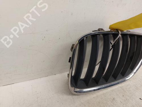 Grille BMW X5 (E53) 3.0 d | BP26753738C40 