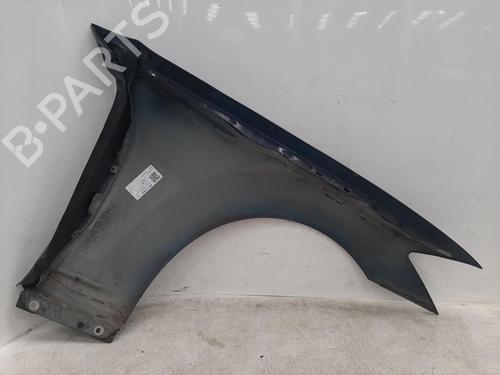 Left front fenders MERCEDES-BENZ S-CLASS (W221, V221) S 320 CDI (221.022, 221.122) | BP26834716C41 