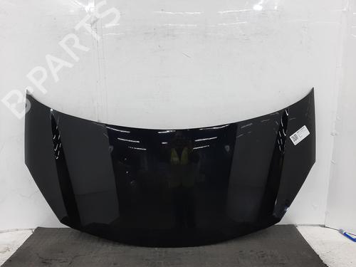 hood-citroen-ds3-sa_-2009-2010-2011-2012-2013-2014-2015-2016-38445916 main image
