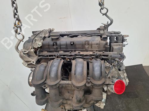 Silnik FORD FIESTA VI (CB1, CCN) 1.6 Ti | BP30559936M1