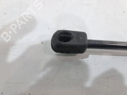 Støddæmperfjeder FORD FOCUS IV (HN) 1.0 EcoBoost mHEV Flex | BP31964512C152