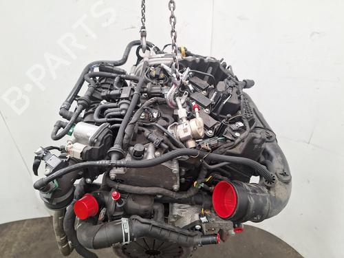 Engine FORD FOCUS IV (HN) 1.0 EcoBoost mHEV Active | BP37443219M1 - Image 3