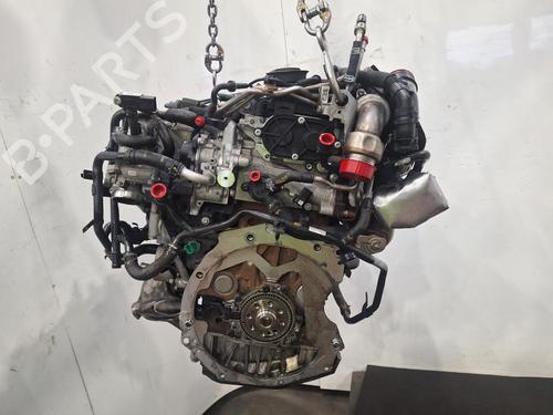 Engine AUDI A4 B9 Avant (8W5, 8WD) 2.0 TDI quattro | BP32448409M1