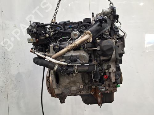 Engine FORD FIESTA VI (CB1, CCN) 1.5 TDCi | BP31208971M1