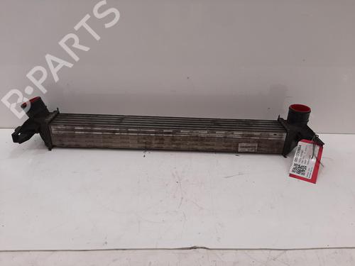 Intercooler Intercooler SKODA RAPID (NH3, NK3, NK6) 1.6 TDI (105 hp) 36506040 36506040