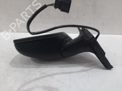 Left mirror SKODA FABIA II (542) 1.2 TSI | BP29883982C26
