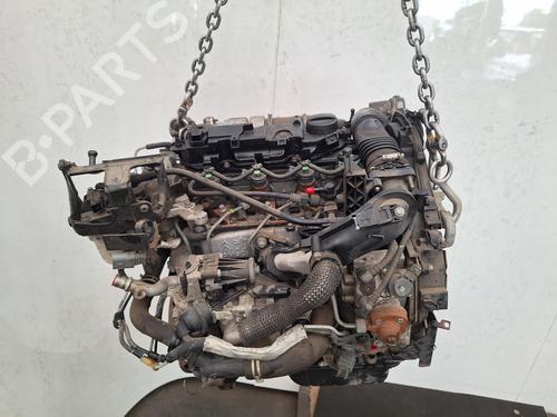 Motor FORD FIESTA VI (CB1, CCN) 1.6 TDCi | BP28311951M1 