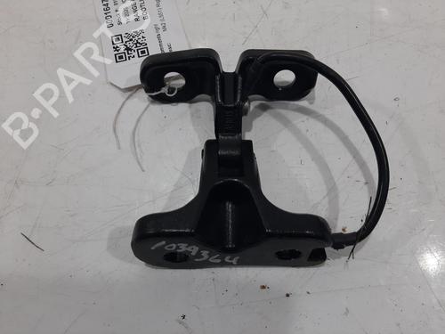 hingedoor-check-strap-land-rover-range-rover-evoque-l551-2018-33124136 main image