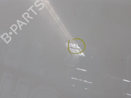 Hood FORD TRANSIT V363 Platform/Chassis (FED, FFD) 2.0 EcoBlue RWD | BP32448294C1 