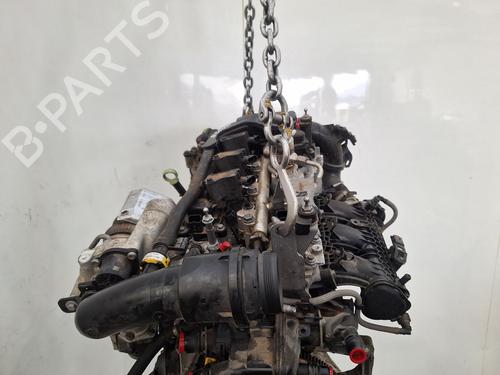 Engine CITROËN C3 AIRCROSS II (2R_, 2C_) 1.2 PureTech 110 (2RHNZB, 2RHNZW, 2RHNPX, 2RHNPJ) | BP31903721M1