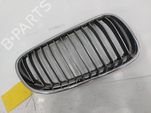 Grille BMW 3 Coupe (E92) 318 i | BP26814207C40 
